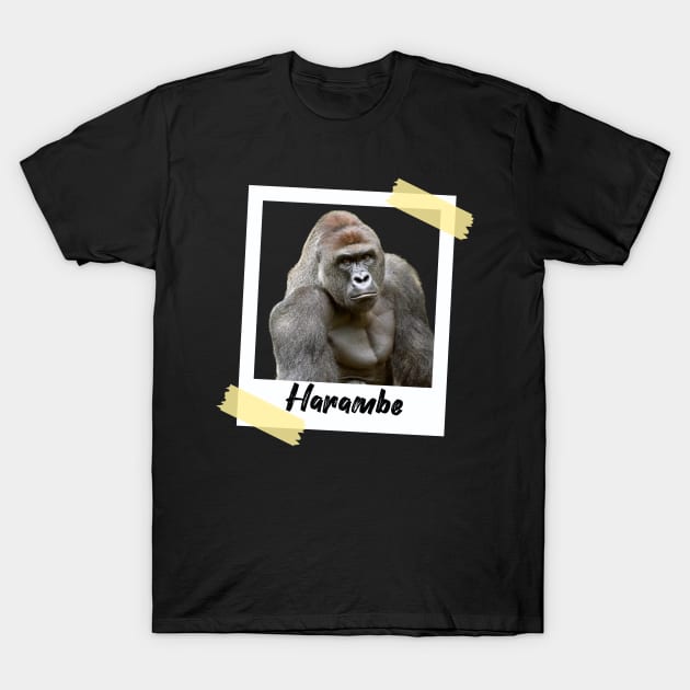 Harambe Polaroid T-Shirt by AwkwardTurtle